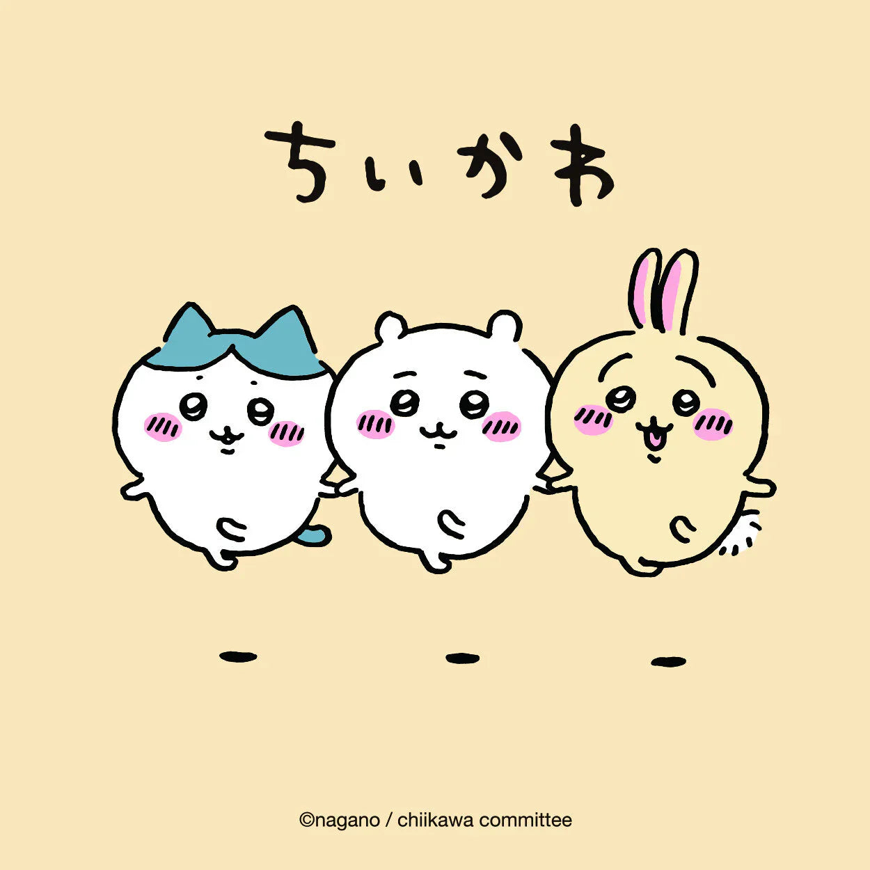 Chiikawa's Collection